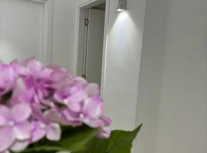 Center, Selvia White Apartment