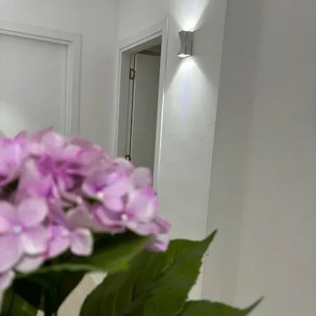 Center, Selvia White Apartment Tirana Exterior photo