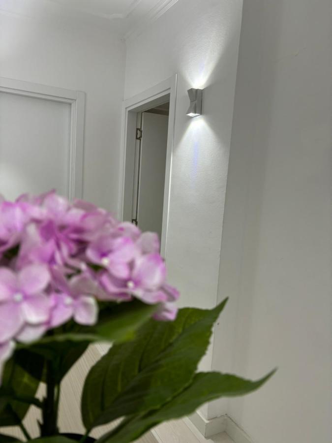 Center, Selvia White Apartment